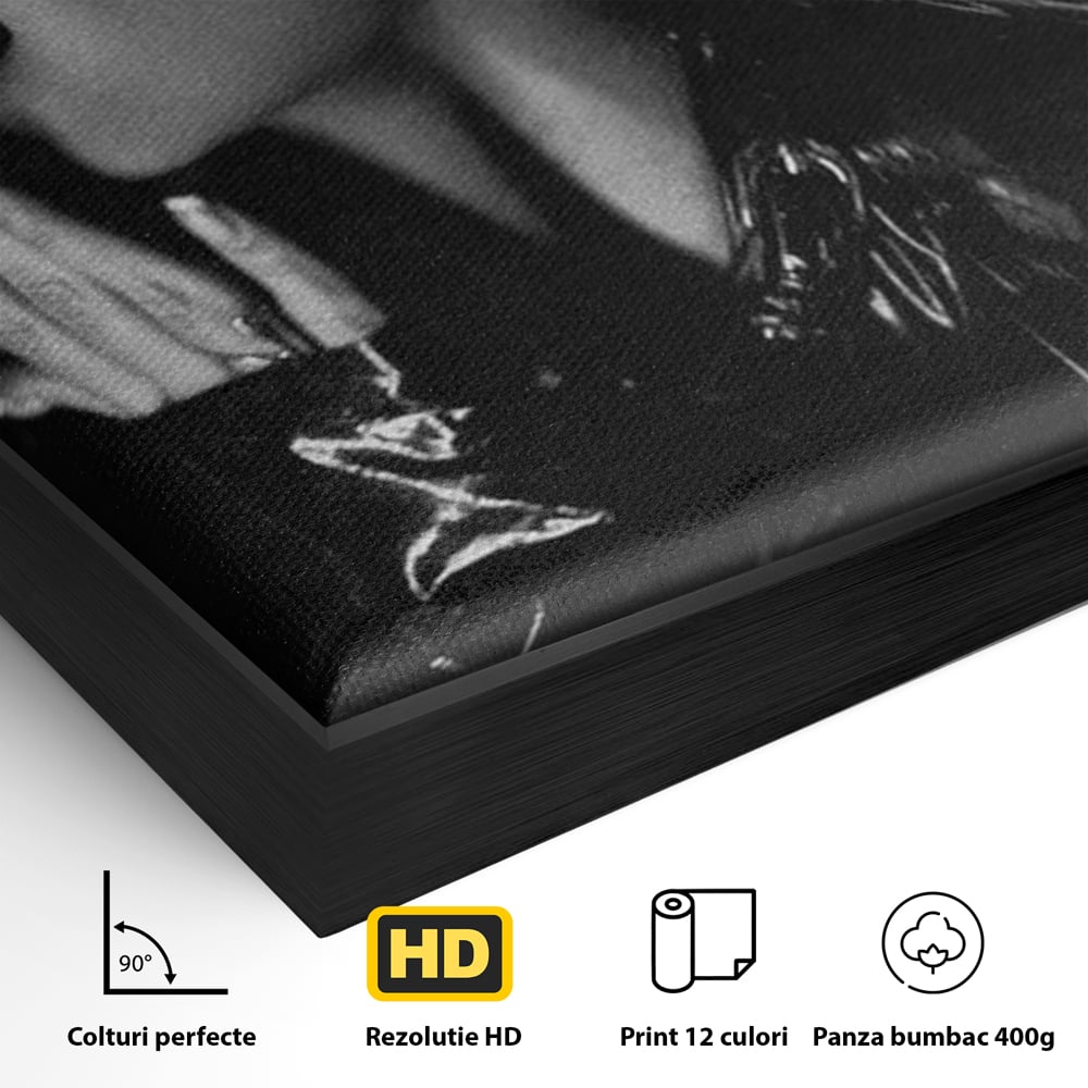 Detaliu al suprafetei: tablou canvas cu femeie in costum de pisica, in rama de aluminiu negru